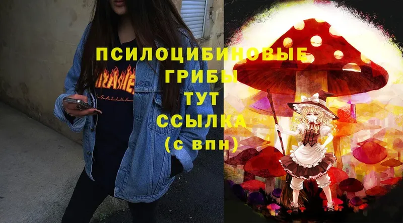 Галлюциногенные грибы Psilocybe  Белая Холуница 